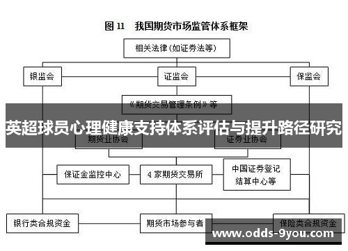 英超球员心理健康支持体系评估与提升路径研究