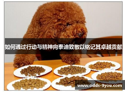 如何通过行动与精神向泰迪致敬以铭记其卓越贡献