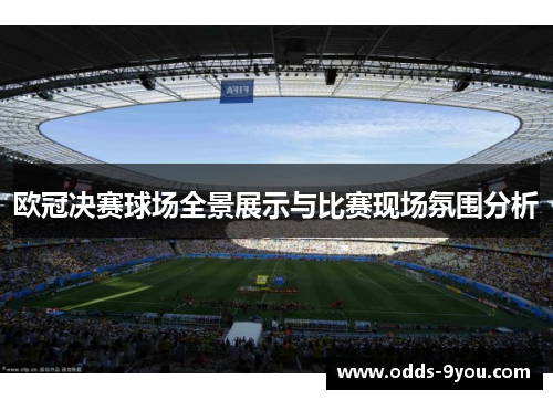 欧冠决赛球场全景展示与比赛现场氛围分析